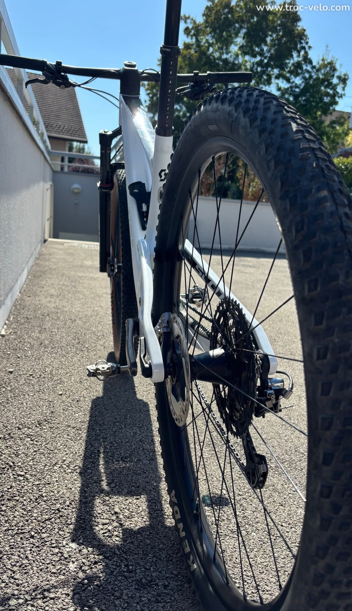 Scott Spark RC Pro - SCOTT - 62780